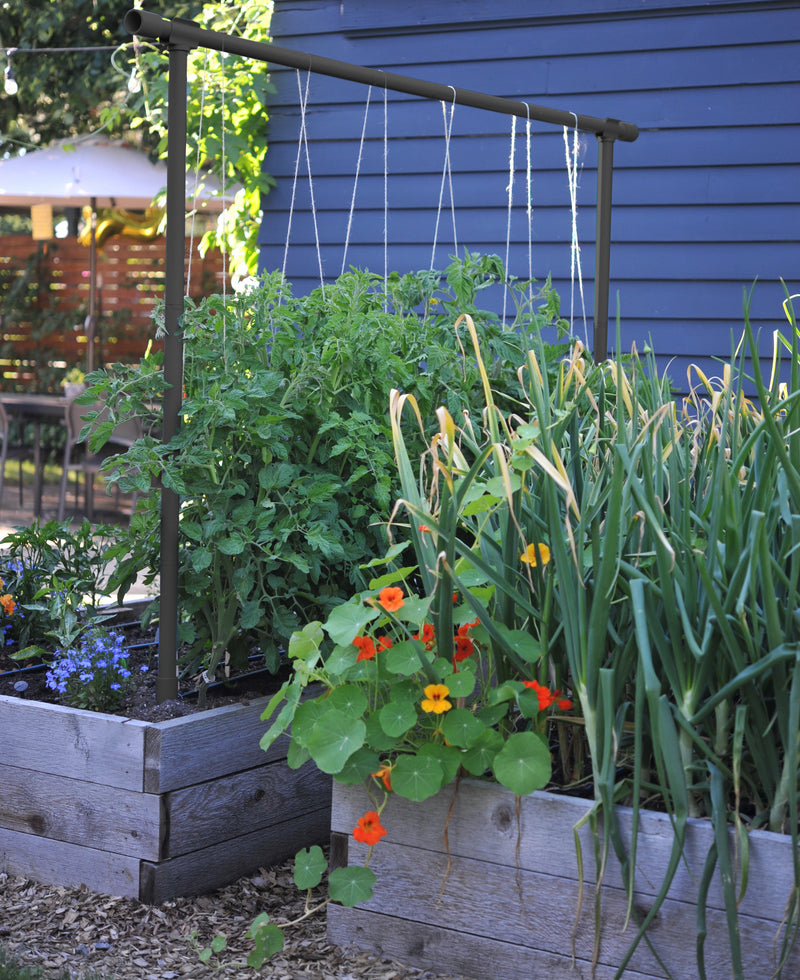Freyr garden trellis