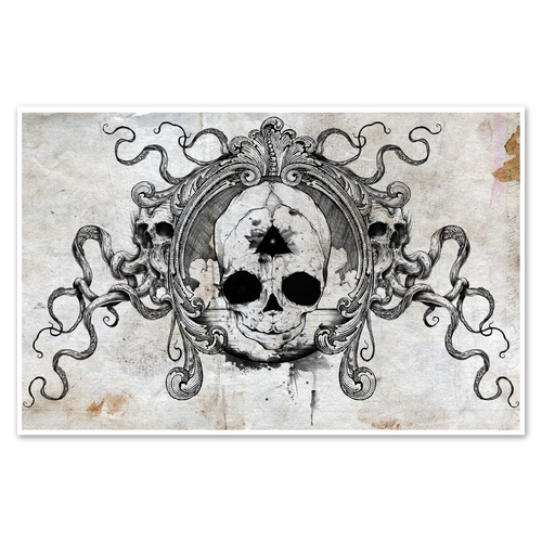Fetal Skull Print