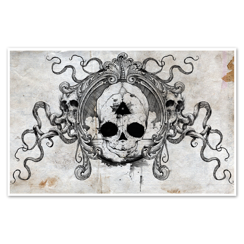 Fetal Skull Print