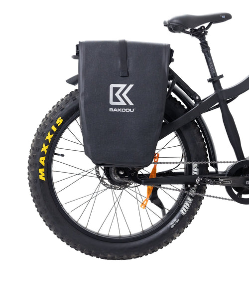 Pannier Bags